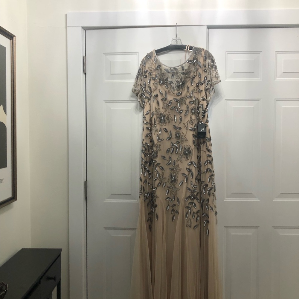 Adrianna Papell Embellished black tie Dress in Blush and Silver - Picture 2 of 6
